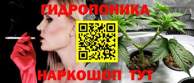 тгк Лесосибирск