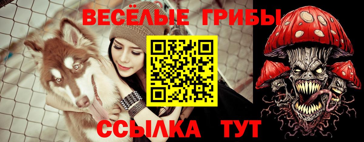 Псилоцибиновые грибы Magic Shrooms  Вход с VPN  Шахты  Псилоцибиновые грибы Psilocybine cubensis 