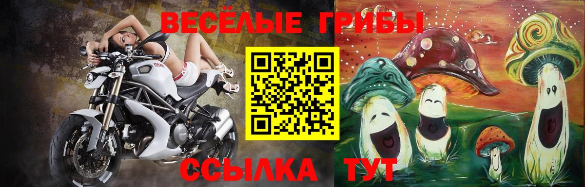 Псилоцибиновые грибы мицелий Шахты